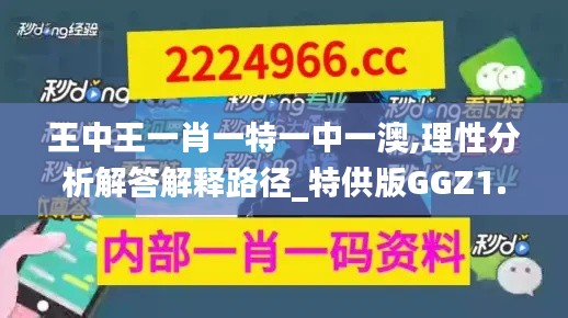 王中王一肖一特一中一澳,理性分析解答解释路径_特供版GGZ1.41