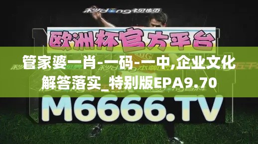 管家婆一肖-一码-一中,企业文化解答落实_特别版EPA9.70