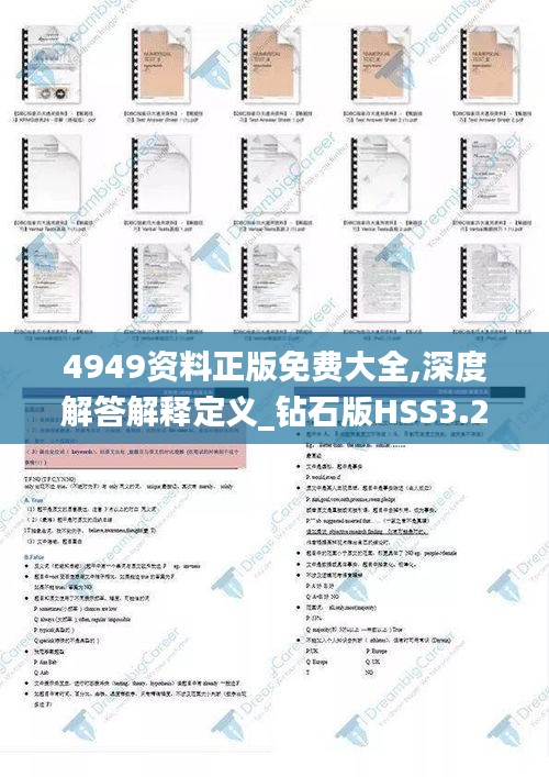 4949资料正版免费大全,深度解答解释定义_钻石版HSS3.26