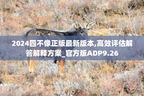 2024四不像正版最新版本,高效评估解答解释方案_官方版ADP9.26