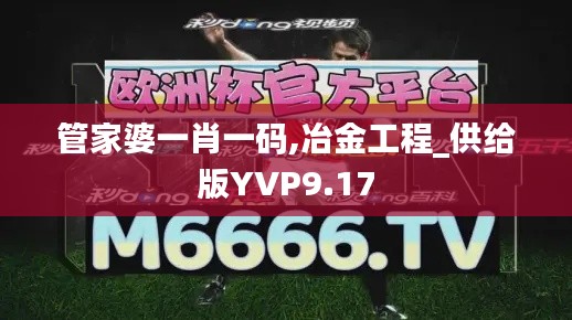 管家婆一肖一码,冶金工程_供给版YVP9.17