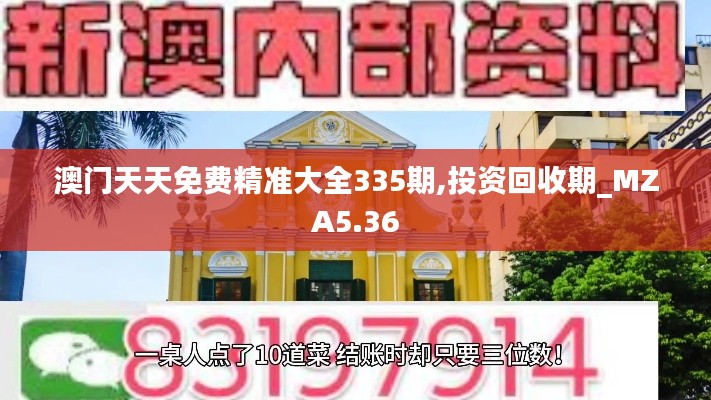 澳门天天免费精准大全335期,投资回收期_MZA5.36