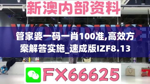 管家婆一码一肖100准,高效方案解答实施_速成版IZF8.13