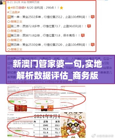 新澳门管家婆一句,实地解析数据评估_商务版EUL9.48