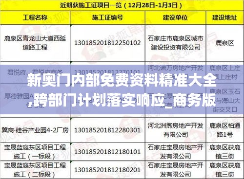 新奥门内部免费资料精准大全,跨部门计划落实响应_商务版MAC2.69