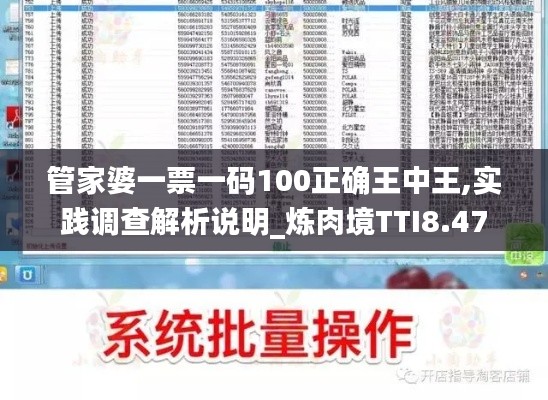 管家婆一票一码100正确王中王,实践调查解析说明_炼肉境TTI8.47