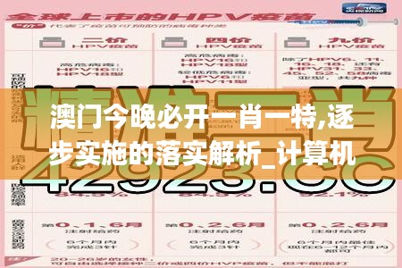 澳门今晚必开一肖一特,逐步实施的落实解析_计算机版WJF6.17