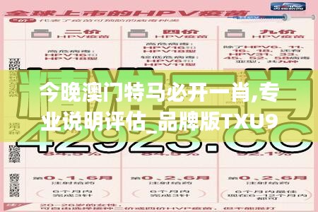 今晚澳门特马必开一肖,专业说明评估_品牌版TXU9.26