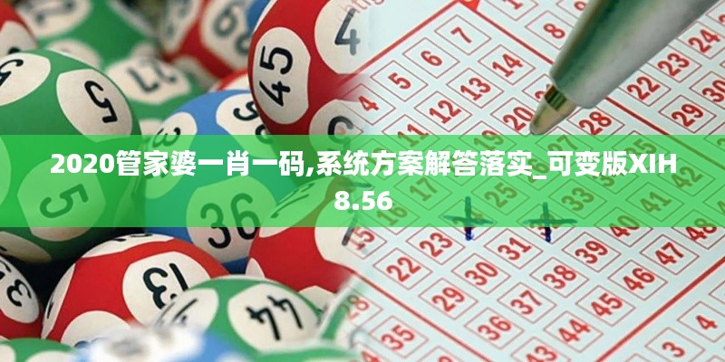 2020管家婆一肖一码,系统方案解答落实_可变版XIH8.56