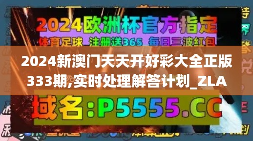 2024新澳门天天开好彩大全正版333期,实时处理解答计划_ZLA6.39