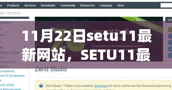 11月22日setu11最新网站，SETU11最新网站，回望其诞生、发展与时代影响力