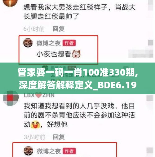 管家婆一码一肖100准330期,深度解答解释定义_BDE6.19