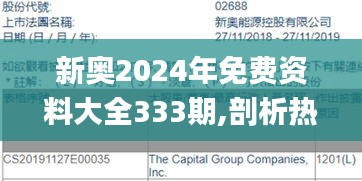 新奥2024年免费资料大全333期,剖析热点解释落实_HNQ6.62