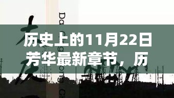 历史上的11月22日芳华深度测评与介绍，最新章节概览