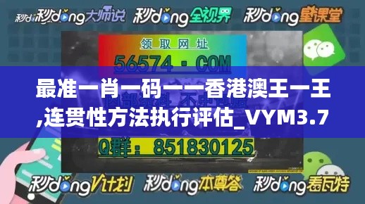 最准一肖一码一一香港澳王一王,连贯性方法执行评估_VYM3.78