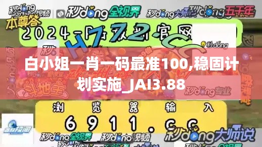 白小姐一肖一码最准100,稳固计划实施_JAI3.88