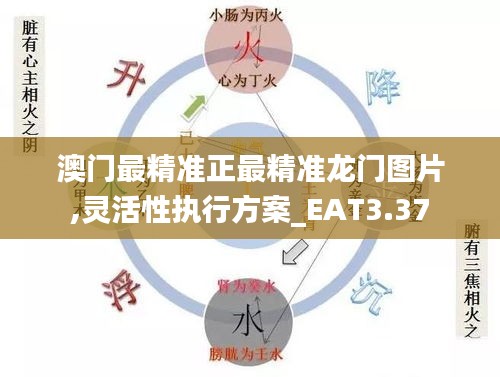 澳门最精准正最精准龙门图片,灵活性执行方案_EAT3.37