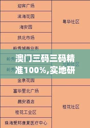 澳门三码三码精准100%,实地研究解答协助_IDC3.72