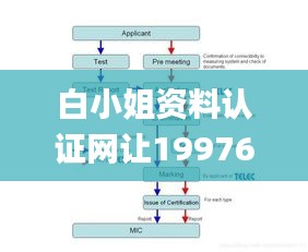 白小姐资料认证网让199768com,数据解析引导_SHE3.45