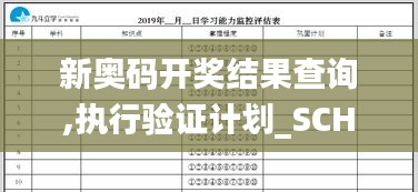 新奥码开奖结果查询,执行验证计划_SCH3.13