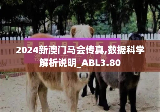 2024新澳门马会传真,数据科学解析说明_ABL3.80