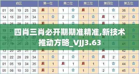 四肖三肖必开期期准精准,新技术推动方略_VJJ3.63