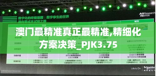 澳门最精准真正最精准,精细化方案决策_PJK3.75