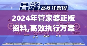 2024年管家婆正版资料,高效执行方案_SVM3.70