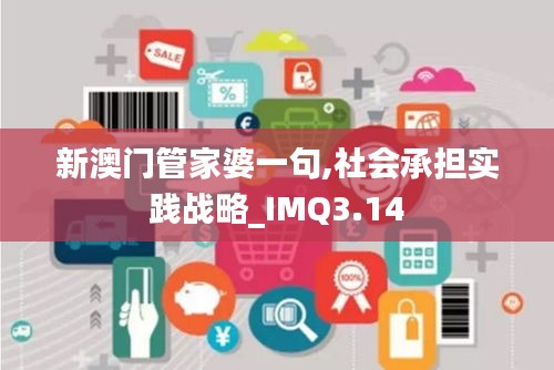 新澳门管家婆一句,社会承担实践战略_IMQ3.14