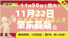 肇东最新招聘信息网，招聘奇遇与友情重逢的温暖篇章（11月22日）