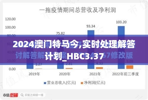 2024澳门特马今,实时处理解答计划_HBC3.37