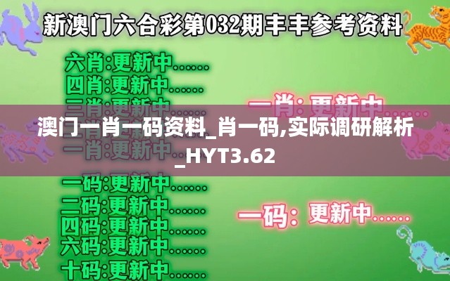 澳门一肖一码资料_肖一码,实际调研解析_HYT3.62