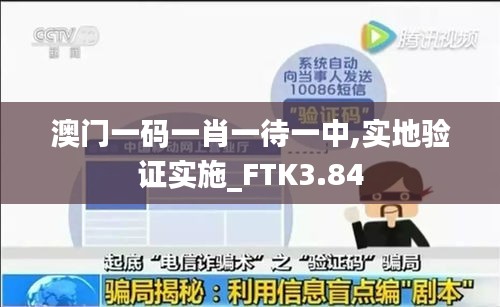 澳门一码一肖一待一中,实地验证实施_FTK3.84