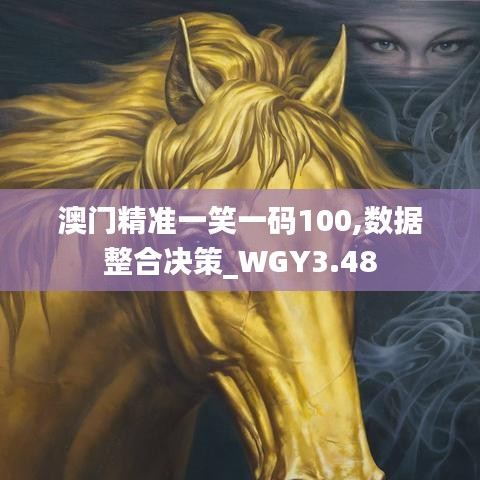 澳门精准一笑一码100,数据整合决策_WGY3.48