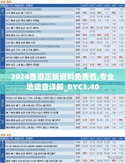 2024香港正版资料免费看,专业地调查详解_BYC3.40