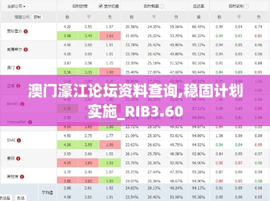 澳门濠江论坛资料查询,稳固计划实施_RIB3.60