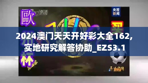 2024澳门天天开好彩大全162,实地研究解答协助_EZS3.1