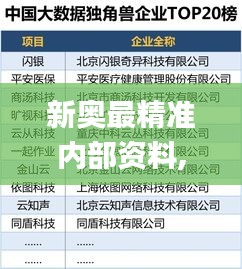 新奥最精准内部资料,数据指导策略规划_LJC3.23