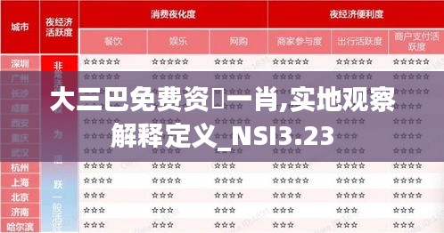 大三巴免费资枓一肖,实地观察解释定义_NSI3.23