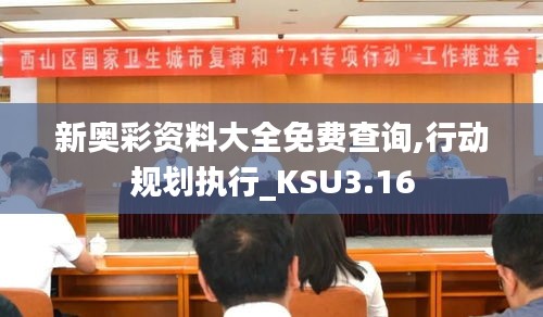 新奥彩资料大全免费查询,行动规划执行_KSU3.16