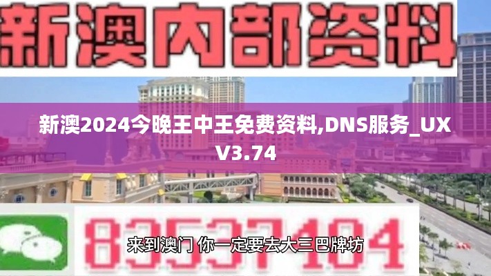 新澳2024今晚王中王免费资料,DNS服务_UXV3.74