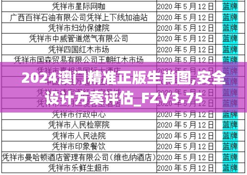 2024澳门精准正版生肖图,安全设计方案评估_FZV3.75