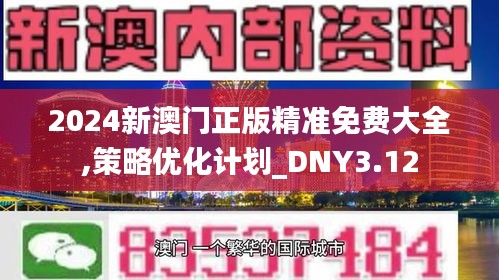 2024新澳门正版精准免费大全,策略优化计划_DNY3.12