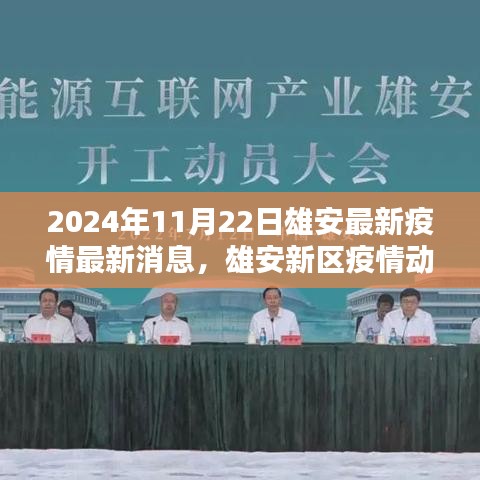 2024年11月22日雄安最新疫情最新消息，雄安新区疫情动态更新，聚焦2024年11月22日最新消息