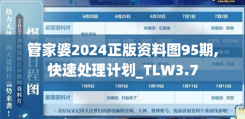 管家婆2024正版资料图95期,快速处理计划_TLW3.7