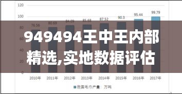 949494王中王内部精选,实地数据评估分析_BPS3.25