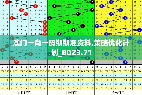 澳门一肖一码期期准资料,策略优化计划_BDZ3.71