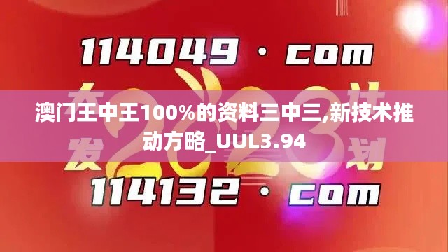 澳门王中王100%的资料三中三,新技术推动方略_UUL3.94