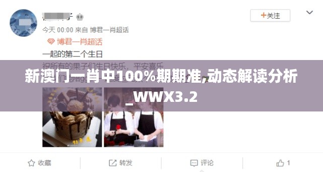 新澳门一肖中100%期期准,动态解读分析_WWX3.2