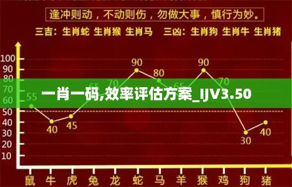 一肖一码,效率评估方案_IJV3.50